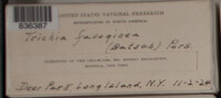 Image Associated With the Occurence